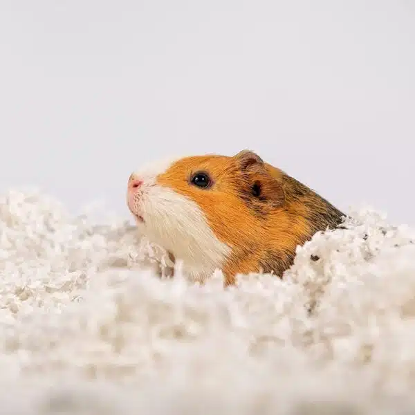 ÃœBER Papirstrø Hvit