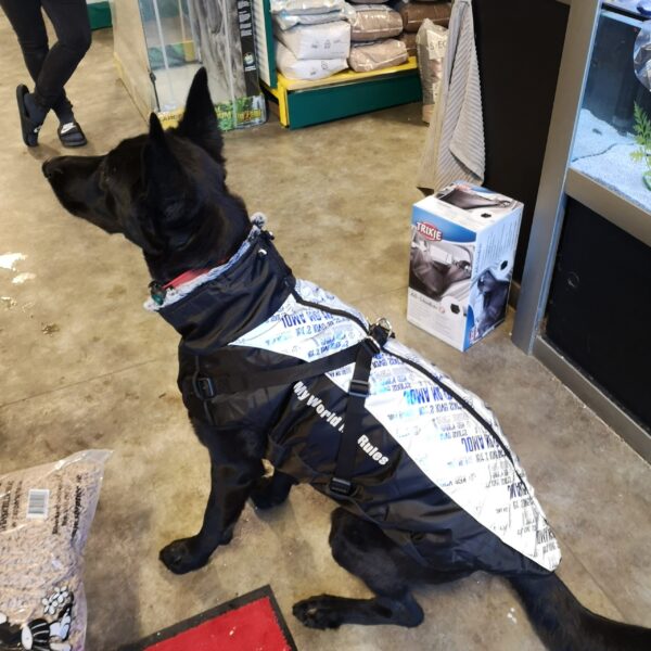 Vinterdekken til hund med refleks, sele og varm krage