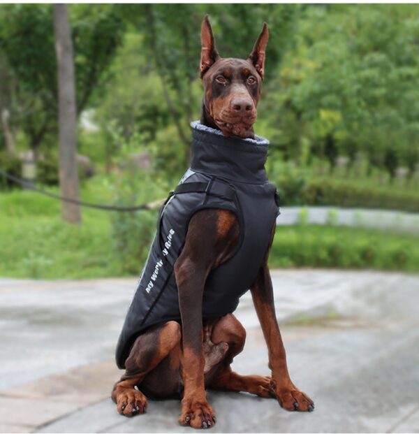 Vinterdekken til hund med refleks, sele og varm krage
