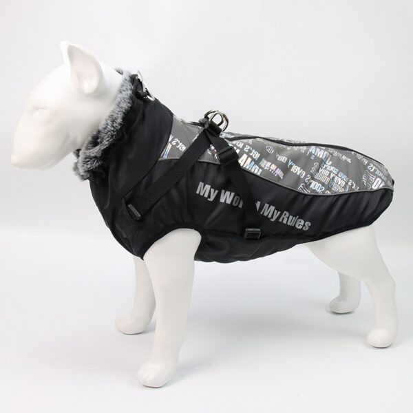 Vinterdekken til hund med refleks, sele og varm krage