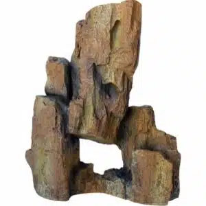 Fossil Rock