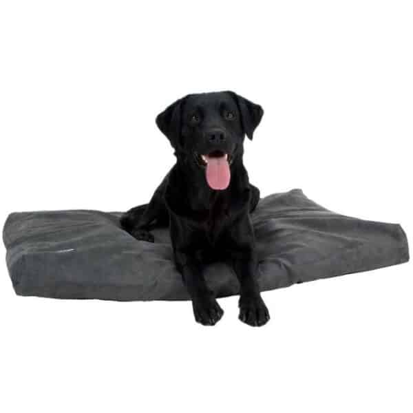 Buster Memory Foam Hundeseng Madrass