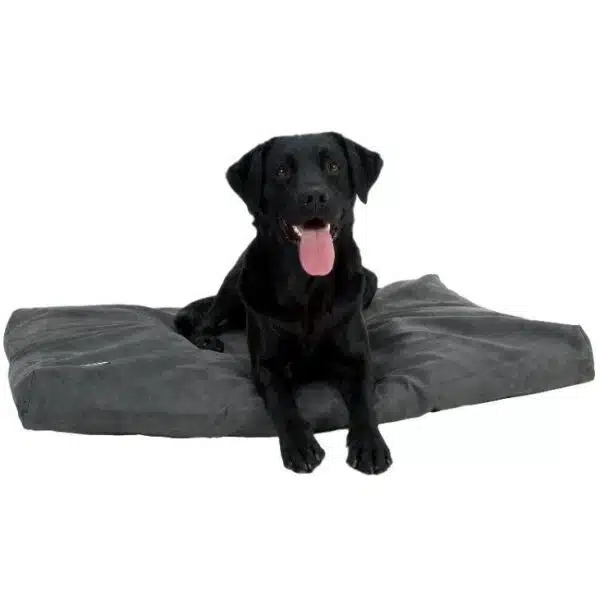 Buster Memory Foam Hundeseng Madrass