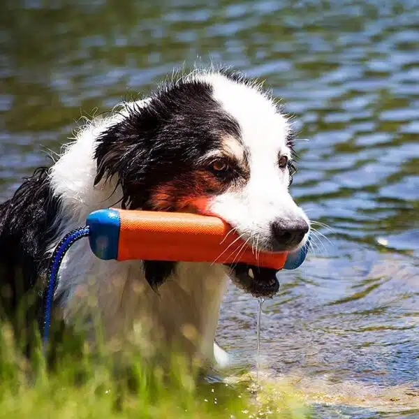 Chuckit! Amphibious Flytende Bumper Vannleke M