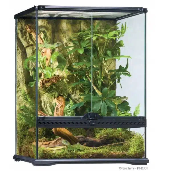 Terrarium Exo Terra Small Tall 45x45x60cm