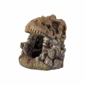 Fossil 13.5x12.5x13.5cm