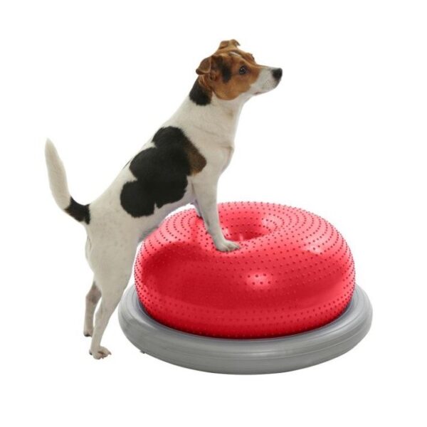 Kruuse Physio Tactile Doughnut Ball Balansepute Styrketrening Fysioterapi Hund