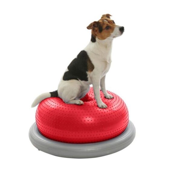 Kruuse Physio Tactile Doughnut Ball Balansepute Styrketrening Fysioterapi Hund
