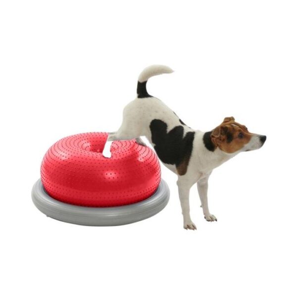 Kruuse Physio Tactile Doughnut Ball Balansepute Styrketrening Fysioterapi Hund