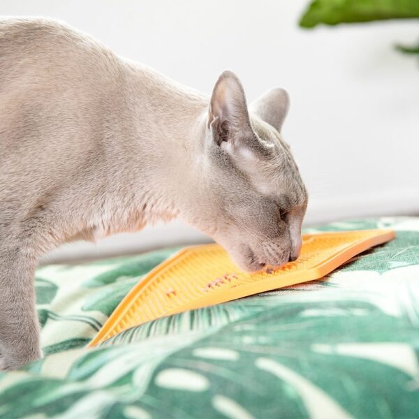 LickiMat Soother Slikkematte 20 x 20 cm