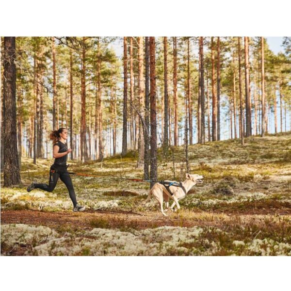 Non-Stop Dogwear CaniX Belt Magebelte / Trekkbelte / Løpebelte