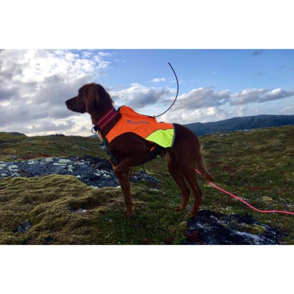Non-Stop Dogwear Protector Jaktvest med GPS-lomme