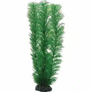 Plastplante Egeria, flere størrelser