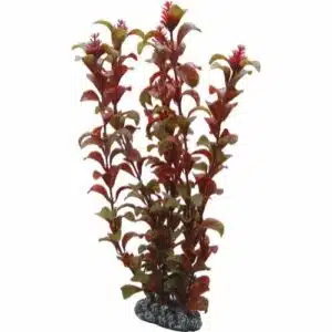 Plastplante Rotala, to størrelser