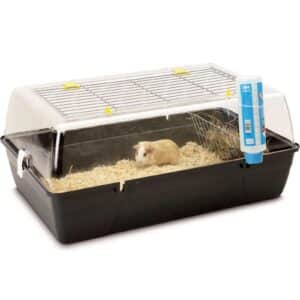 Rody Cavia smådyrsbur
