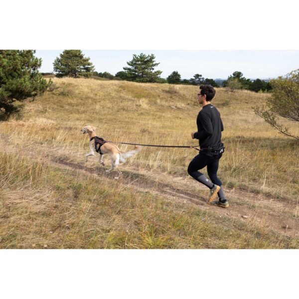 Non-Stop Dogwear Trail Light Belt Turbelte Trekk Hund
