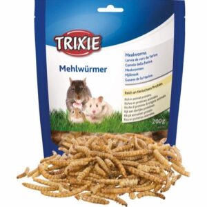 Tørket melorm