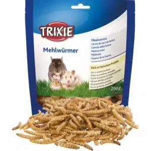 Tørket melorm