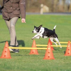 Trixie Agility Hinder Cavaletti x 3 hinder