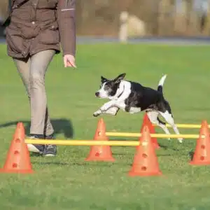 Trixie Agility Hinder Cavaletti x 3 hinder