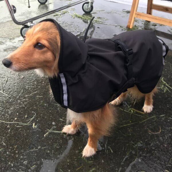 Canelana Cover Vind- / Regndekken Hundedekken Softshell Sort
