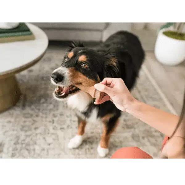 Whimzees Occupy Antler Dental Vegetar Tygg i pose