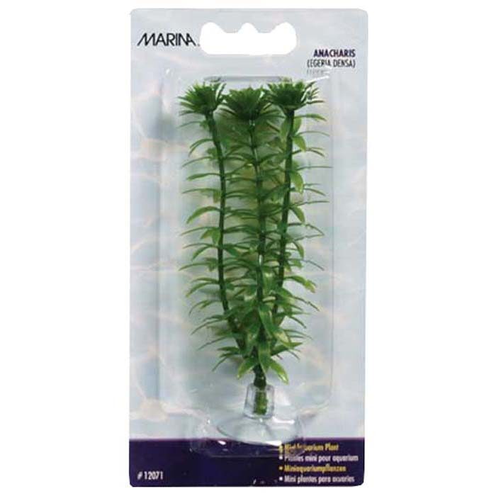 PLASTPLANTE ANACHARISMINI 10CM MED SUGEKOPP