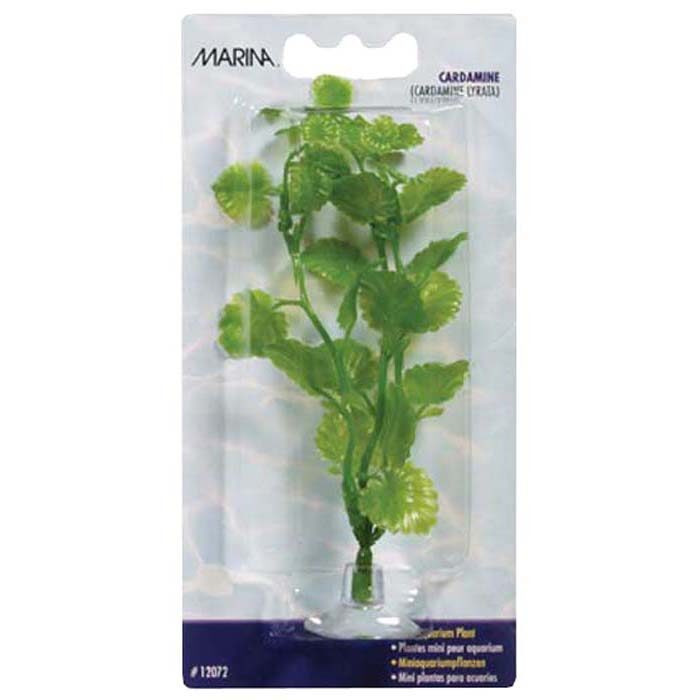 PLASTPLANTE CARDAMINE MINI 10CM MED SUGEKOPP