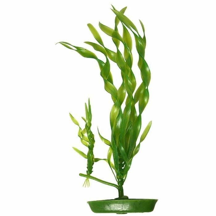 PLASTPLANTE SPIRAL VALLISNERIA