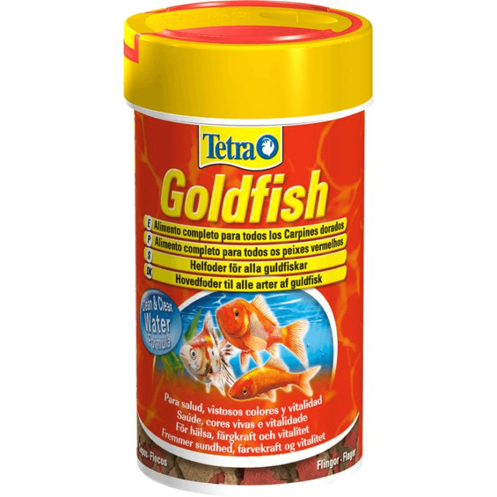 Tetra Goldfish