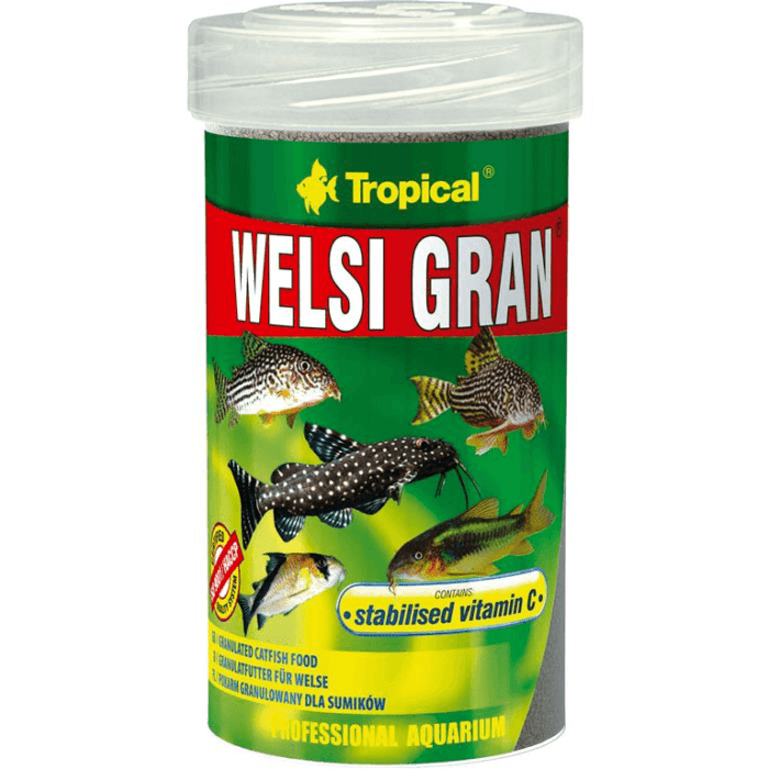 Tropical Welsi Gran