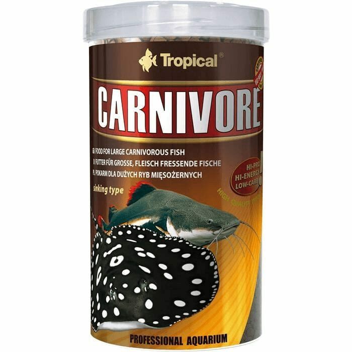 Tropical Carnivore