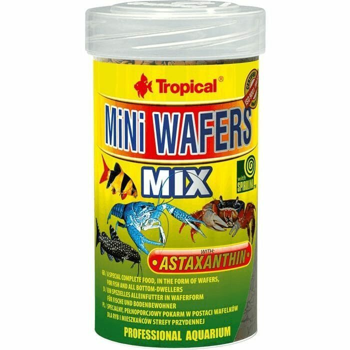 Tropical Mini Wafers Mix