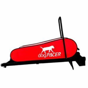 Dogpacer Norge