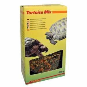 Lucky-Reptile-Tortoise-Mix