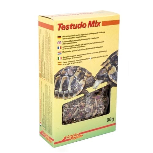 Lucky reptile Testudo Mix