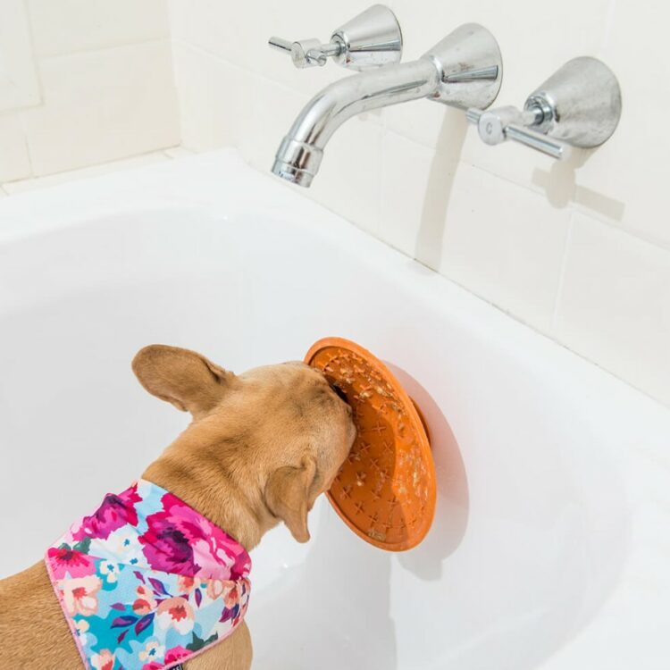 lickimat splash slikkematte