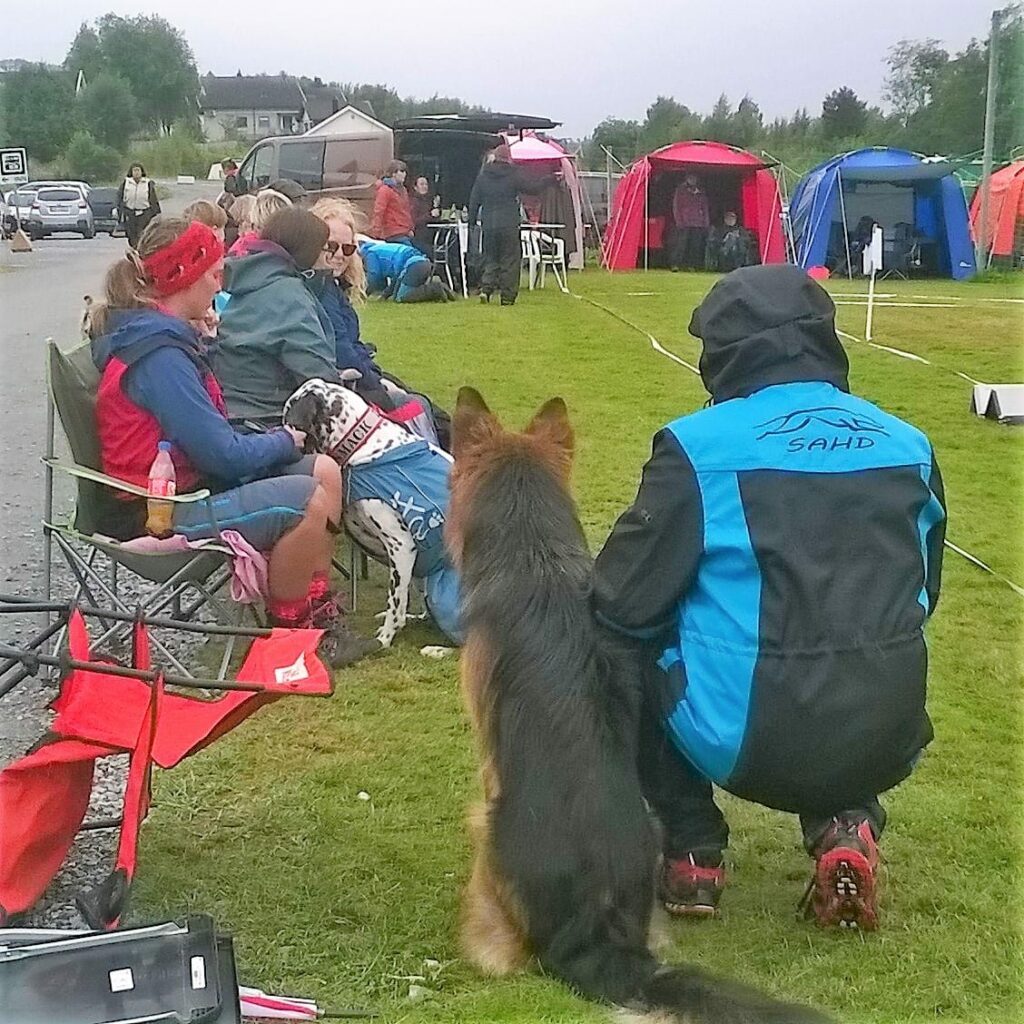 Treningsjakke med hette sort/turkis