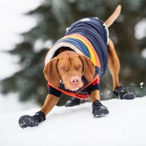 Go Fresh vintersokker hund