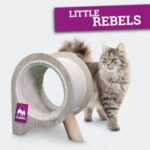 Little Rebels