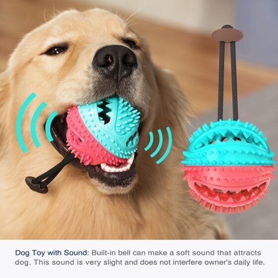 Aktivitet-belønningsball med snor til hund