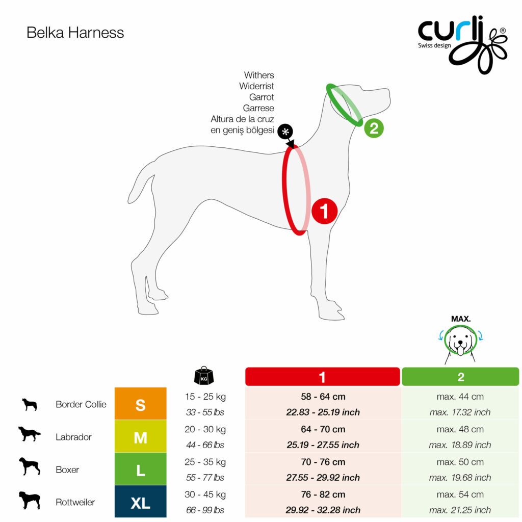 curli belka harness hundesele refleks