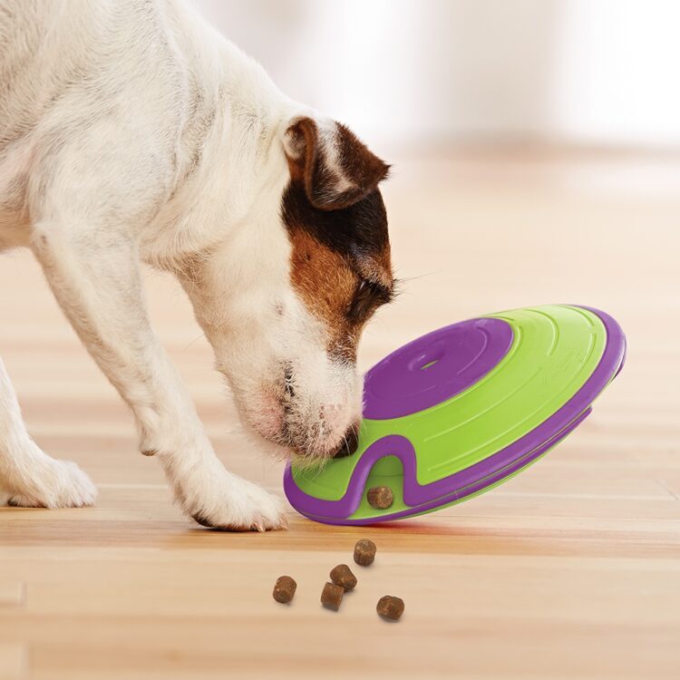 nina ottoson dog treat maze aktivitetsleke hundeleke