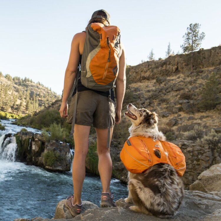 Ruffwear Approach Dog Pack Kløv Oransje