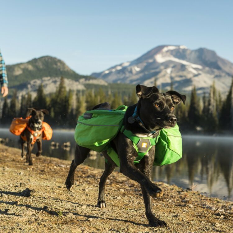 Ruffwear Approach Dog Pack Kløv Grønn