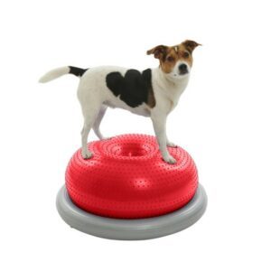 kruuse physio tactile doughnut balansepute styrketrening fysioterapi hund