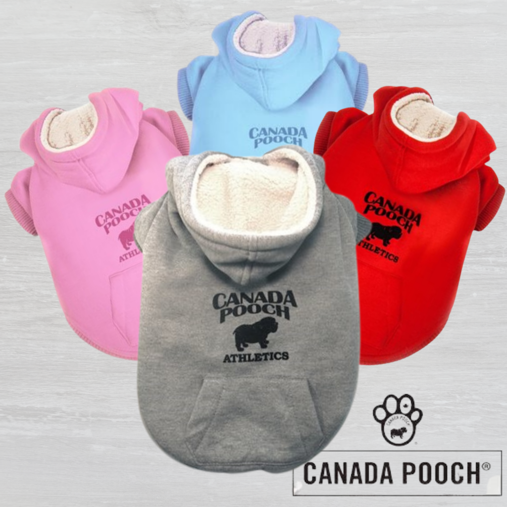 Canada pooch clearance caribou hoodie