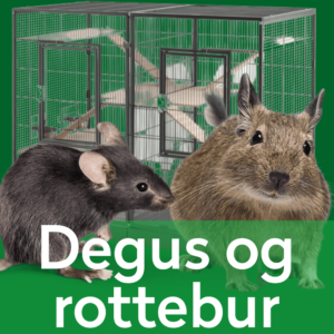 rottebur-Degusbur