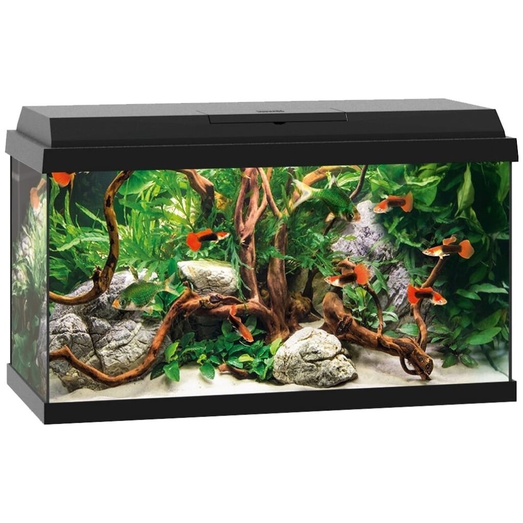 Juwel Akvarium Primo 60ltr svart 61x31x37cm