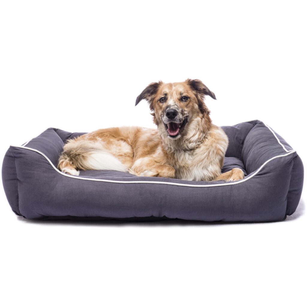 DGS Lounger Bed Hundeseng